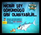 hi2_1747136261_InPixio.webp hi2_1747136261_InPixio.webp